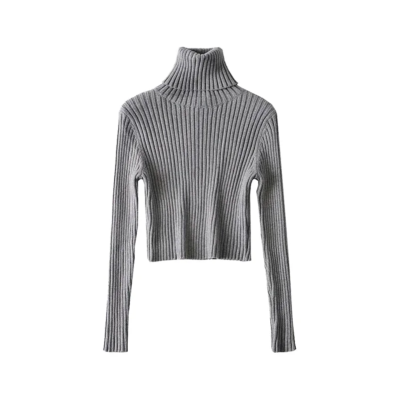 Tara Solid Color Ribbed Knitted Turtleneck Long Sleeve Cropped Top